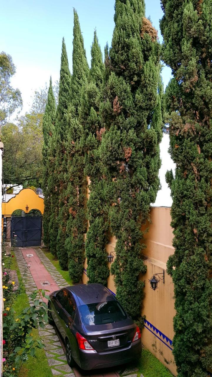 Villa Alfonsina Mexico City Luaran gambar